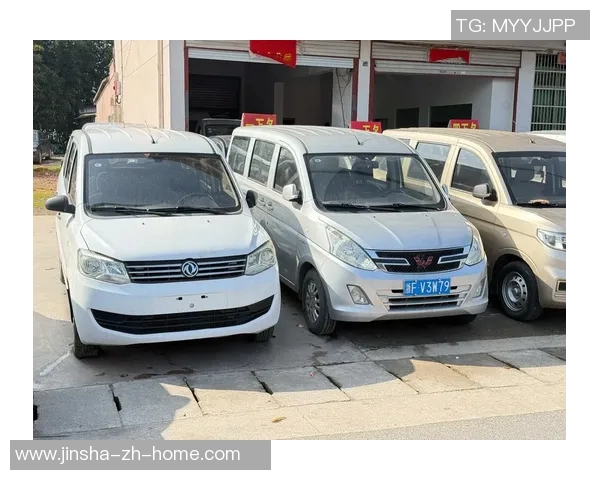 金沙娱乐埸发财车-金沙娱乐场豪华发财车的璀璨旅程-金沙娱乐埸发财车